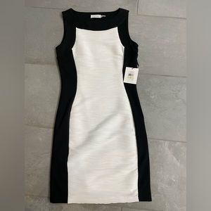 Calvin Klein Sheath Dress